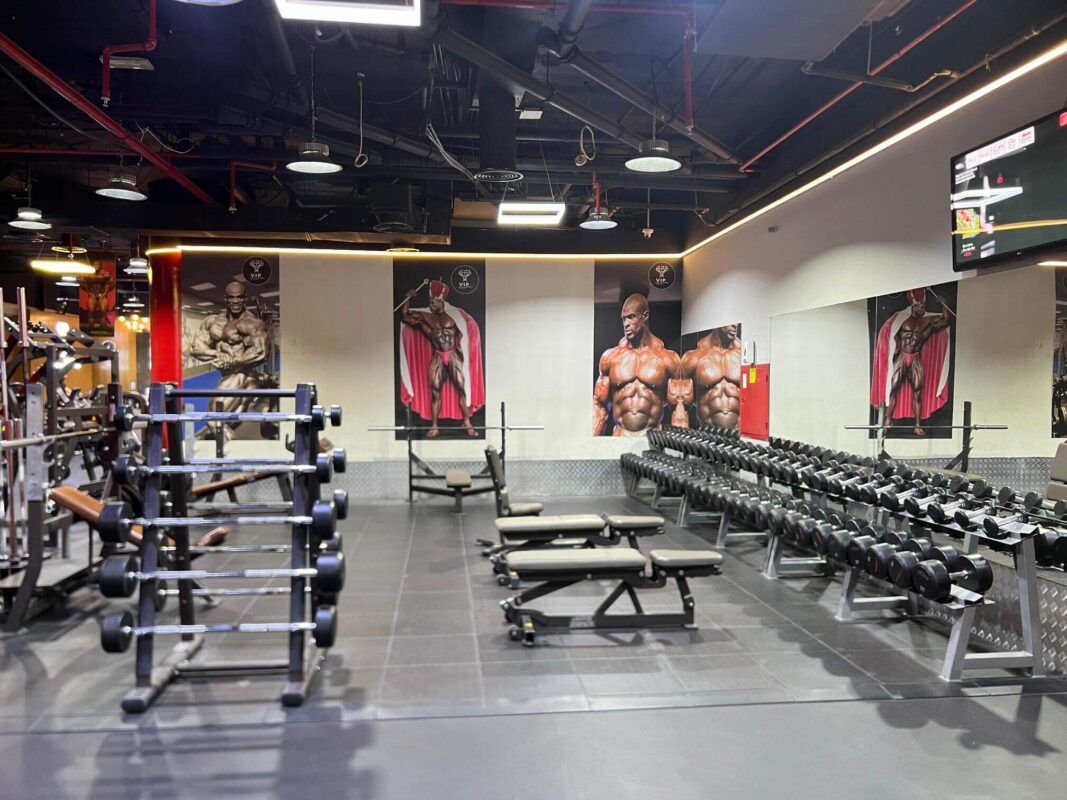 VIP GYM
